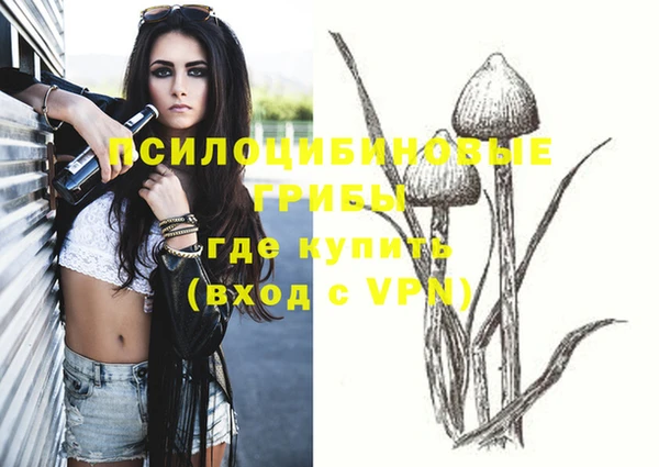 мяу мяу мука Алексин