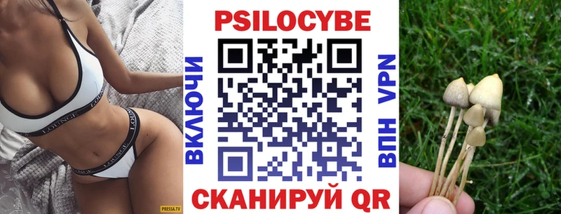 купить наркотик  Киселёвск  Псилоцибиновые грибы прущие грибы 